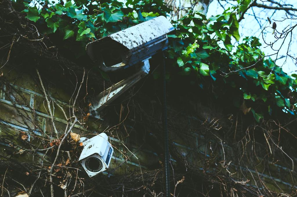 Pipeline Monitoring System in Action